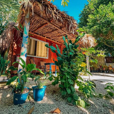 Hotel & Suites Oasis باكالار المظهر الخارجي الصورة